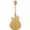 Ibanez AEL 20 E NT Westerngitarre (mit Tonabnehmer)