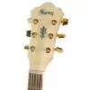 Ibanez AEL 20 E NT Westerngitarre (mit Tonabnehmer)