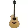 Yamaha APX 700 II NT