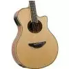 Yamaha APX 700 II NT