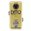 TC electronic TC Ditto Looper Gold Effekt