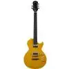 Epiphone LP Slash Special II Outfit E-Gitarre