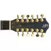 Baton Rouge R65 CE 12TS Westerngitarre (mit Tonabnehmer)