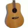 Tanglewood TWJD Westerngitarre