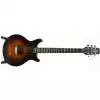 Slammer SP1F-2T E-Gitarre