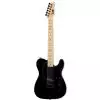 LTD TE-212 Maple BLK E-Gitarre