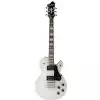 Hagstrom SWEI STS E-Gitarre