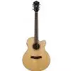 Ibanez AEL 108 TD NT Westerngitarre (mit Tonabnehmer)