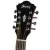 Ibanez AEL 108 TD NT Westerngitarre (mit Tonabnehmer)
