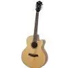 Ibanez AEL 108 TD NT Westerngitarre (mit Tonabnehmer)
