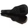 Ritter RGS3-C Bison Desert Koffer fr Gitarre