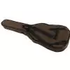 Ritter RGS3-C Bison Desert Koffer fr Gitarre