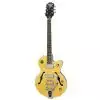 Epiphone Wildkat AN E-Gitarre