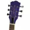 Gypsy Rose GRE2K/CPP E-Gitarre