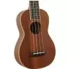 Fender U′Uku