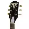 Epiphone PRO 1 Plus Acoustic EB Westerngitarre