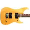 Washburn N1 NM E-Gitarre