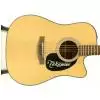 Takamine EG320SC-NS Westerngitarre (mit Tonabnehmer)