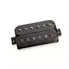 Seymour Duncan Sentient 6 string neck Wandler