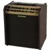 Fishman Loudbox Performer