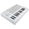 Arturia Microbrute SE White Synthesizer
