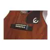 Epiphone Caballero 1964 MA Westerngitarre (mit Tonabnehmer)
