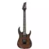 Ibanez RG 421 CW CNF E-Gitarre