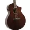 Ibanez AEW 40 CD NT Westerngitarre (mit Tonabnehmer)