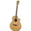 Ibanez AEW 40 AS NT Westerngitarre (mit Tonabnehmer)