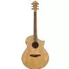 Ibanez AEW 40 AS NT Westerngitarre (mit Tonabnehmer)