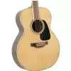 Takamine GN51 NAT Westerngitarre