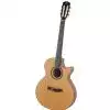 Dowina CLEC555
