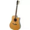 Gilmour Robust EQ CUT Westerngitarre (mit Tonabnehmer)